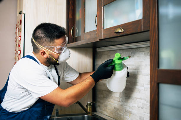 Best Commercial Pest Control Services  in Smyrna, GA