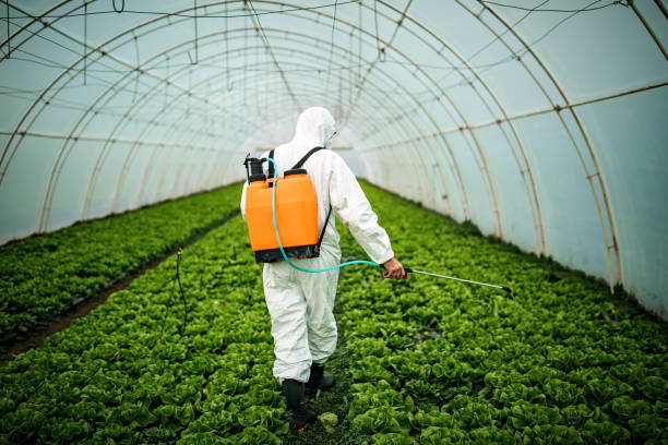 Best Best Pest Control Companies  in Smyrna, GA