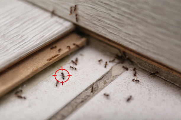 Smyrna, GA Pest Control Company