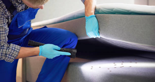 Wasp Removal Services in Smyrna, GA