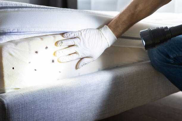 Best Rat Extermination Near Me  in Smyrna, GA