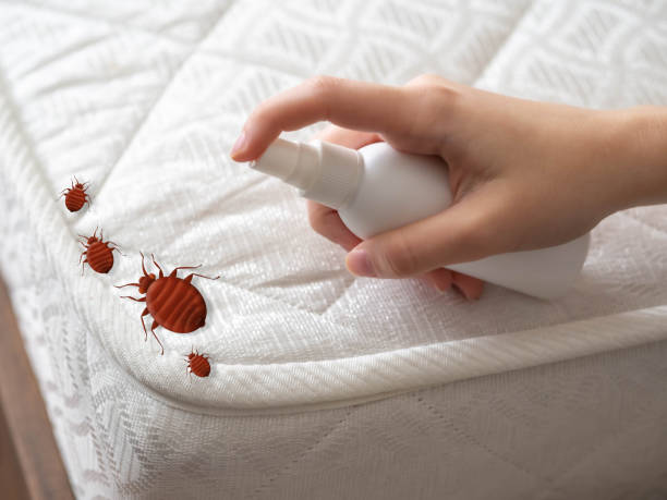 Best Pest Removal Services  in Smyrna, GA